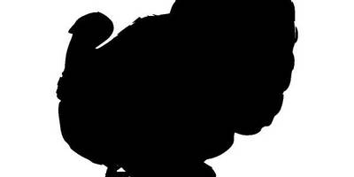 Животные 4057