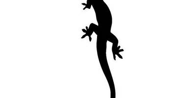 Животные 1044