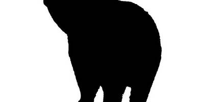 Животные 2333