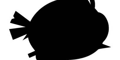 Животные 2937