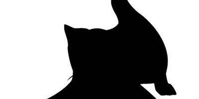 Животные 3534