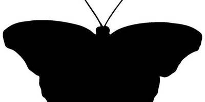 Животные 2921