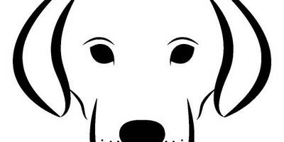 Животные 3344