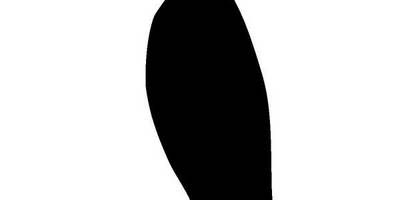 Животные 4245