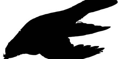 Животные 3456