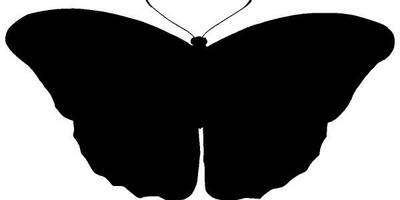 Животные 3245