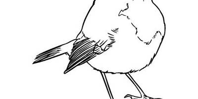 Животные 2299