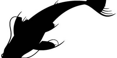 Животные 846