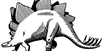 Животные 575