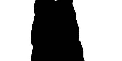 Животные 4095