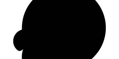 Животные 1347