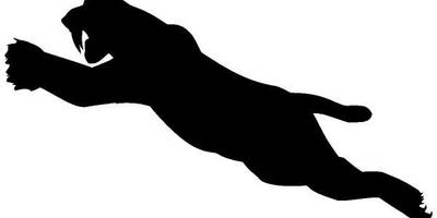 Животные 200