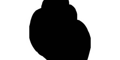 Животные 3769