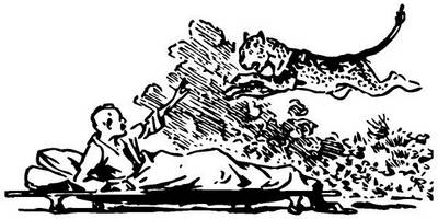 Животные 528