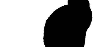 Животные 4242