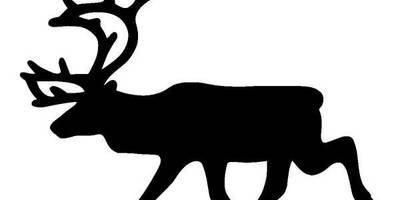 Животные 443