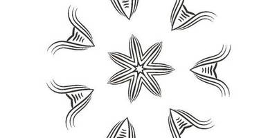 Орнамент цветы 205