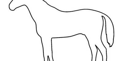 Животные 4228