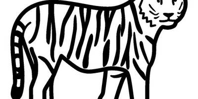 Животные 510