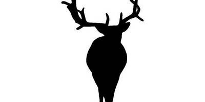 Животные 4332