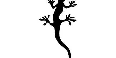 Животные 714