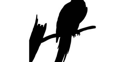 Животные 2974