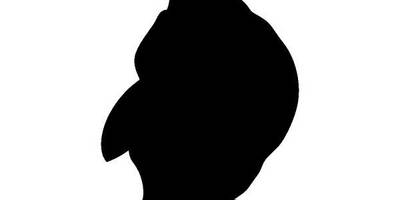 Животные 1800