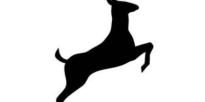 Животные 3404