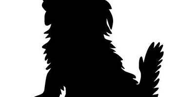 Животные 2422