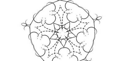 Орнамент цветы 355