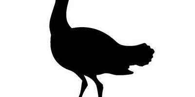 Животные 2803