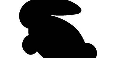 Животные 334