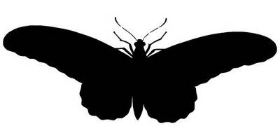 Животные 2958