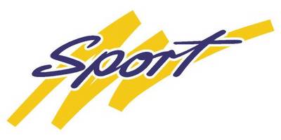 Виниловая наклейка на авто 52