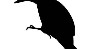 Животные 631