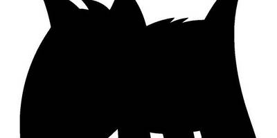 Животные 2691