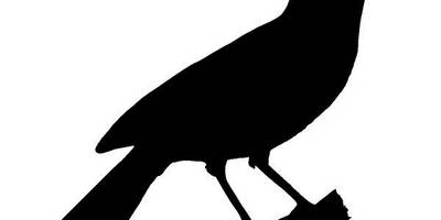 Животные 3843