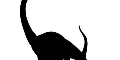 Животные 569