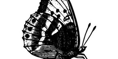 Животные 1310