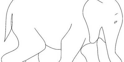 Животные 278