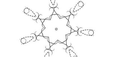 Орнамент цветы 358