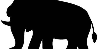 Животные 805