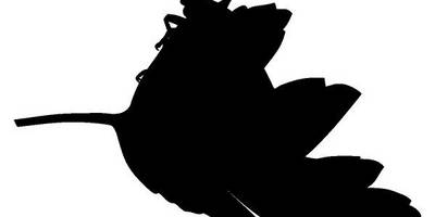 Животные 1214