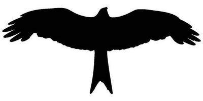 Животные 3415