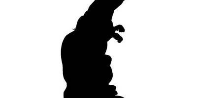 Животные 392