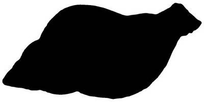 Животные 2251