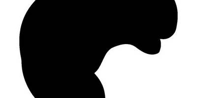 Животные 276