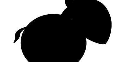 Животные 1511