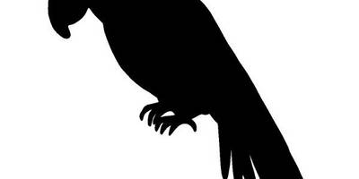 Животные 2167