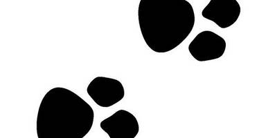 Животные 3090